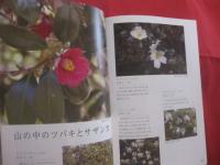 おきなわ野山の花さんぽ　　    写真 ・ 文 　 安里 肇栄  　　  ボーダーインク　  発行    　　見て楽しむ、野山の花の本　　　　       【沖縄・琉球・自然・植物】