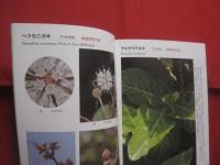 沖縄本島の絶滅のおそれのある草木　　    仲村 昇  　著者  　発行人 　　   私家版 　　　　     【沖縄・琉球・自然・生物・植物】