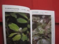 沖縄本島の絶滅のおそれのある草木　　    仲村 昇  　著者  　発行人 　　   私家版 　　　　     【沖縄・琉球・自然・生物・植物】
