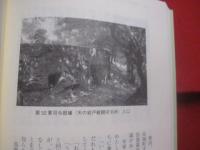 沖縄戦体験記　　   情報宣伝隊   　　 千早隊    　　沖縄師範学校学徒の実録      　　千早隊手記出版編集員会  　編集  　発行 　　　　     【沖縄・琉球・歴史・戦記・太平洋戦争】