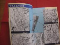☆空から見た昔の沖縄　 Ⅲ         北大東島 ・ 南大東島 ・ 伊是名島 ・ 伊江島 ・ 沖縄島北部域の空中写真   　　      沖縄県史ビジュアル版　  １３  　　     近代　  ５              【沖縄・琉球・歴史・文化・写真本】