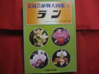 沖縄園芸植物大図鑑    　　全四巻　　    ラン　　 観葉植物  　　有用植物　　  熱帯花木　　      白井 祥平　 著   　　          【沖縄・琉球・自然】