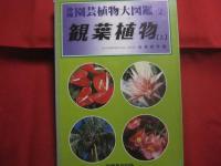 沖縄園芸植物大図鑑    　　全四巻　　    ラン　　 観葉植物  　　有用植物　　  熱帯花木　　      白井 祥平　 著   　　          【沖縄・琉球・自然】