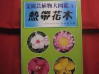 沖縄園芸植物大図鑑    　　全四巻　　    ラン　　 観葉植物  　　有用植物　　  熱帯花木　　      白井 祥平　 著   　　          【沖縄・琉球・自然】
