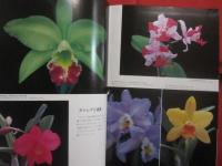 沖縄園芸植物大図鑑    　　全四巻　　    ラン　　 観葉植物  　　有用植物　　  熱帯花木　　      白井 祥平　 著   　　          【沖縄・琉球・自然】