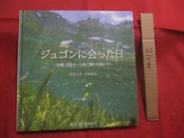 ジュゴンに会った日 　　 沖縄 辺野古　 ・　 大浦の豊かな海から  　　写真と文　 今泉真也   　　　　   【沖縄・琉球・文化・自然・写真絵本】