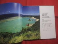 ジュゴンに会った日 　　 沖縄 辺野古　 ・　 大浦の豊かな海から  　　写真と文　 今泉真也   　　　　   【沖縄・琉球・文化・自然・写真絵本】