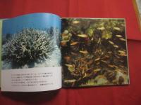 ジュゴンに会った日 　　 沖縄 辺野古　 ・　 大浦の豊かな海から  　　写真と文　 今泉真也   　　　　   【沖縄・琉球・文化・自然・写真絵本】