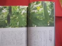 チャンプルーとウチナーごはん 　　 友利知子 ＋ 沖縄の食を考える会 　著  　　沖縄タイムス社　 発行　　　　　　 【沖縄・琉球・料理・レシピ・食文化】