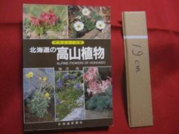 野外見分け図鑑    　　北海道の高山植物 　　   梅澤 俊 　 著  　　  北海道新聞社  　発行     　　　　  【自然・生物・植物・図鑑】