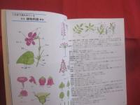 野外見分け図鑑    　　北海道の高山植物 　　   梅澤 俊 　 著  　　  北海道新聞社  　発行     　　　　  【自然・生物・植物・図鑑】