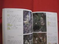 野外見分け図鑑    　　北海道の高山植物 　　   梅澤 俊 　 著  　　  北海道新聞社  　発行     　　　　  【自然・生物・植物・図鑑】