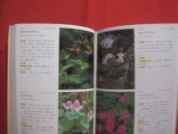 野外見分け図鑑    　　北海道の高山植物 　　   梅澤 俊 　 著  　　  北海道新聞社  　発行     　　　　  【自然・生物・植物・図鑑】