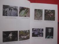 琉球植物誌 　 （ 　追加　 ・ 　訂正　 ）  　　  ＦＬＯＲＡ  　 ＯＦ  　 ＴＨＥ 　  ＲＹＵＫＹＵＳ 　　   初島住彦  　著    　　沖縄生物教育研究会 　 発行      　　　　   【沖縄・琉球・生物・植物・自然】