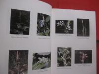 琉球植物誌 　 （ 　追加　 ・ 　訂正　 ）  　　  ＦＬＯＲＡ  　 ＯＦ  　 ＴＨＥ 　  ＲＹＵＫＹＵＳ 　　   初島住彦  　著    　　沖縄生物教育研究会 　 発行      　　　　   【沖縄・琉球・生物・植物・自然】