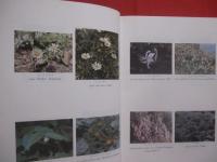 琉球植物誌 　 （ 　追加　 ・ 　訂正　 ）  　　  ＦＬＯＲＡ  　 ＯＦ  　 ＴＨＥ 　  ＲＹＵＫＹＵＳ 　　   初島住彦  　著    　　沖縄生物教育研究会 　 発行      　　　　   【沖縄・琉球・生物・植物・自然】