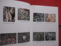 琉球植物誌 　 （ 　追加　 ・ 　訂正　 ）  　　  ＦＬＯＲＡ  　 ＯＦ  　 ＴＨＥ 　  ＲＹＵＫＹＵＳ 　　   初島住彦  　著    　　沖縄生物教育研究会 　 発行      　　　　   【沖縄・琉球・生物・植物・自然】