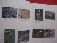琉球植物誌 　 （ 　追加　 ・ 　訂正　 ）  　　  ＦＬＯＲＡ  　 ＯＦ  　 ＴＨＥ 　  ＲＹＵＫＹＵＳ 　　   初島住彦  　著    　　沖縄生物教育研究会 　 発行      　　　　   【沖縄・琉球・生物・植物・自然】