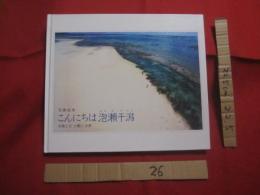 写真絵本　　  こんにちは 　　 泡瀬干潟  　　  写真と文 　 小橋川 共男  　　  サイン本   　　　　       【沖縄・琉球・自然・風景・写真集】