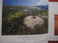 写真絵本　　  こんにちは 　　 泡瀬干潟  　　  写真と文 　 小橋川 共男  　　  サイン本   　　　　       【沖縄・琉球・自然・風景・写真集】