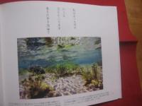 写真絵本　　  こんにちは 　　 泡瀬干潟  　　  写真と文 　 小橋川 共男  　　  サイン本   　　　　       【沖縄・琉球・自然・風景・写真集】