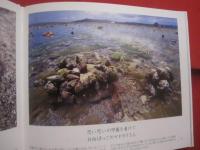 写真絵本　　  こんにちは 　　 泡瀬干潟  　　  写真と文 　 小橋川 共男  　　  サイン本   　　　　       【沖縄・琉球・自然・風景・写真集】