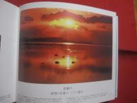 写真絵本　　  こんにちは 　　 泡瀬干潟  　　  写真と文 　 小橋川 共男  　　  サイン本   　　　　       【沖縄・琉球・自然・風景・写真集】