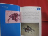 沖縄の宮古島１００の素顔   　 もうひとつのガイドブック   　 沖縄の宮古島１００の素顔編集委員会  　編      　  有限責任中間法人　  東京農業大学出版会　  発行 　　　　           【沖縄・琉球・歴史・民俗・文化・自然・生物】