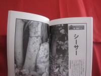 家と家族を守るムンヌキムン   　　 沖縄の魔よけとまじない   　　  沖縄その不思議な世界   　　 座間味栄議 　 著    　　むぎ社　 発行    　　　　     【沖縄・琉球・歴史・精神文化】