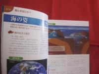 オールカラー　  深海と深海生物   　　 美しき神秘の世界  　　  水深１万１０００ｍまでの謎を解く   　　 独立行政法人　 海洋研究開発機構 　 監修   　　 ナツメ社 　 発行   　　　　   【自然・地学・海洋生物】