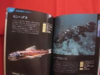オールカラー　  深海と深海生物   　　 美しき神秘の世界  　　  水深１万１０００ｍまでの謎を解く   　　 独立行政法人　 海洋研究開発機構 　 監修   　　 ナツメ社 　 発行   　　　　   【自然・地学・海洋生物】