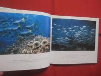 ガラパゴスの海へ 　　 ダーウィンも見なかった世界  　　中村庸夫写真集 　　 文・荒俣 宏   　　講談社　 発行 　　　　     【自然・生物・風景】