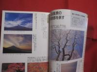 感性を磨く  　　光と色に強くなる写真術   　　 桜井 始 　著  　　  グラフィック社　 発行　　　　　     【写真技法・撮影・テクニック】
