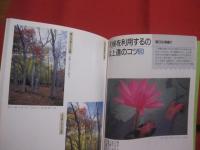 感性を磨く  　　光と色に強くなる写真術   　　 桜井 始 　著  　　  グラフィック社　 発行　　　　　     【写真技法・撮影・テクニック】