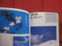 感性を磨く  　　光と色に強くなる写真術   　　 桜井 始 　著  　　  グラフィック社　 発行　　　　　     【写真技法・撮影・テクニック】