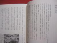 徳川の国家デザイン  　　  日本の歴史   　　 江戸時代  　 　 十七世紀　　    水本邦彦　（　京都府立大学教授　）　 著    　　小学館　 発行   　　　　   【歴史・政治・経済・文化】