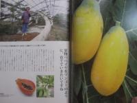 [　沖縄の遊　・　食　・　住　] 　　  沖縄暮らし   　　冬こそ農的沖縄生活　　　　　　　　    【沖縄・琉球・文化・自然】