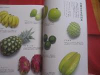 [　沖縄の遊　・　食　・　住　] 　　  沖縄暮らし   　　冬こそ農的沖縄生活　　　　　　　　    【沖縄・琉球・文化・自然】
