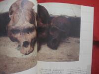 百年の愚行  　　  ＯＮＥ　  ＨＵＮＤＲＥＤ　  ＹＥＡＲＳ 　 ＯＦ　  ＩＤＩＯＣＹ   　　　　 Ｔｈｉｎｋ　  ｔｈｅ 　 Ｅａｒｔｈ　  Ｐｒｏｊｅｃｔ  　発行　　   　　 ２０世紀を振り返り、２１世紀の地球を考える１００枚の写真  　　　　　　    【写真集・ドキュメント・自然破壊・環境破壊・戦争】