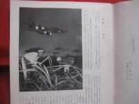 『これが沖縄だ』展　　    写真 　木村伊兵衛 　岩宮武二 　アメリカ軍提供　　    朝日新聞社 　沖縄タイムス社　 主催 　　　　    【沖縄・琉球・歴史・文化・写真集・図録】
