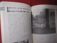 ☆沖縄をどう教えるか　　　　編者　『 沖縄をどう教えるか 』  編集委員会　　　　株式会社  解放出版社　発行　　　　　　【沖縄・琉球・歴史・文化】