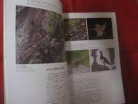 日本の鳥の世界　　  Ｎａｔｕｒａｌ 　 　Ｈｉｓｔｏｒｙ 　　 ｏｆ　　  Ｊａｐａｎｅｓｅ 　 　Ｂｉｒｄｓ 　　  樋口広芳 　著      　　　　 【自然・生物・動物・知識・写真本】