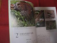 日本の鳥の世界　　  Ｎａｔｕｒａｌ 　 　Ｈｉｓｔｏｒｙ 　　 ｏｆ　　  Ｊａｐａｎｅｓｅ 　 　Ｂｉｒｄｓ 　　  樋口広芳 　著      　　　　 【自然・生物・動物・知識・写真本】