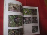 日本の鳥の世界　　  Ｎａｔｕｒａｌ 　 　Ｈｉｓｔｏｒｙ 　　 ｏｆ　　  Ｊａｐａｎｅｓｅ 　 　Ｂｉｒｄｓ 　　  樋口広芳 　著      　　　　 【自然・生物・動物・知識・写真本】