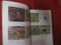 日本の鳥の世界　　  Ｎａｔｕｒａｌ 　 　Ｈｉｓｔｏｒｙ 　　 ｏｆ　　  Ｊａｐａｎｅｓｅ 　 　Ｂｉｒｄｓ 　　  樋口広芳 　著      　　　　 【自然・生物・動物・知識・写真本】