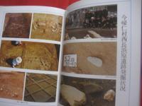 石器時代の沖縄　　    カラー百科シリーズ  　９   　　 沖縄考古学会　  編  　　  新星図書  　発行 　　　　       【沖縄・琉球・歴史・文化・考古・自然】