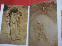 ☆石器時代の沖縄  　　  カラー百科シリーズ　  ９   　　 沖縄考古学会　  編    　　新星図書  　発行    　　　　    【沖縄・琉球・歴史・文化・考古・自然】