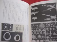 ☆石器時代の沖縄  　　  カラー百科シリーズ　  ９   　　 沖縄考古学会　  編    　　新星図書  　発行    　　　　    【沖縄・琉球・歴史・文化・考古・自然】
