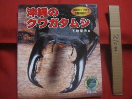 ☆沖縄のクワガタムシ    　　  沖縄のクワガタ全種類紹介！！  　　    見直そう！　  郷土の自然   　　         【沖縄・琉球・自然・生物・生物・動物・昆虫】
