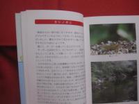 名護の自然  　　  第２集    　　編集 　名護市教育委員会社会教育課文化財係　  名護市動植物総合調査委員  　　　　   【沖縄・琉球・自然・生物・動物・知識】